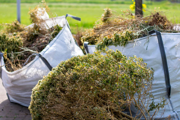 Best Affordable Junk Removal Services  in Hutchison, VA